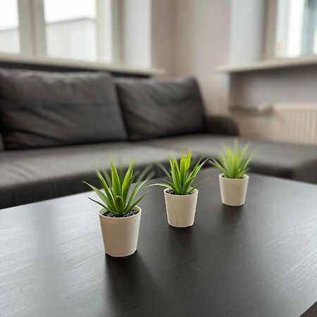 Akmene Center Apartment Naujoji Akmene Kültér fotó