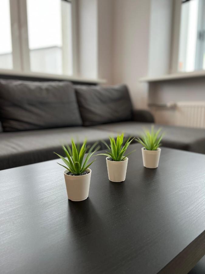 Akmene Center Apartment Naujoji Akmene Kültér fotó